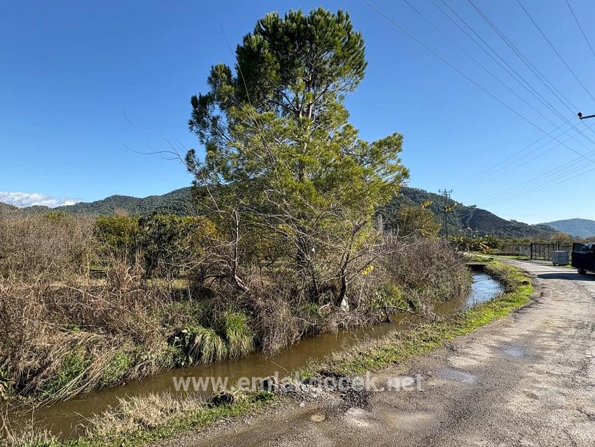 Feld Zu verkaufen in Tepearası Bz. Ortaca - Weinberg & garten-Zonierung - 23.000 m²
