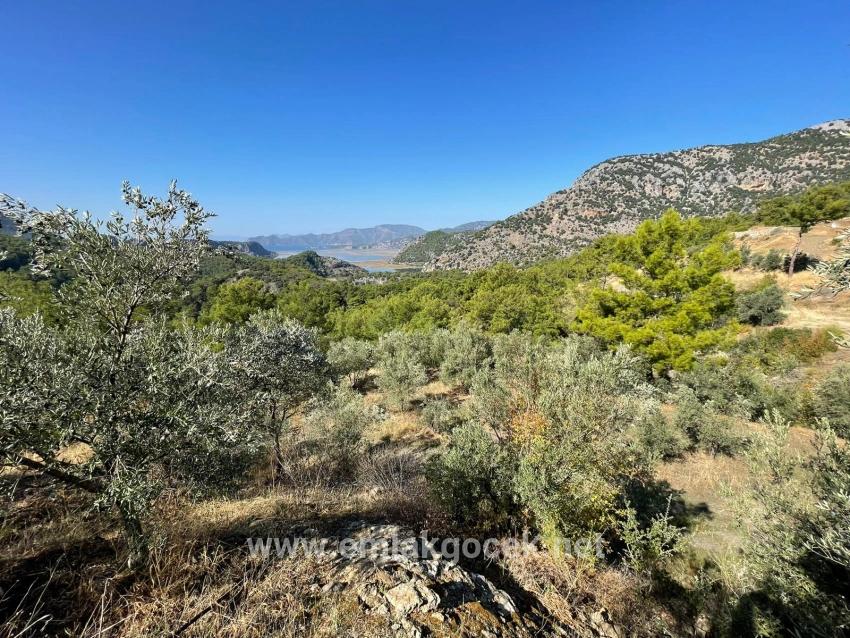 3514 M² Grundstück Zum Verkauf Mit Vollem Meerblick In Gökbel