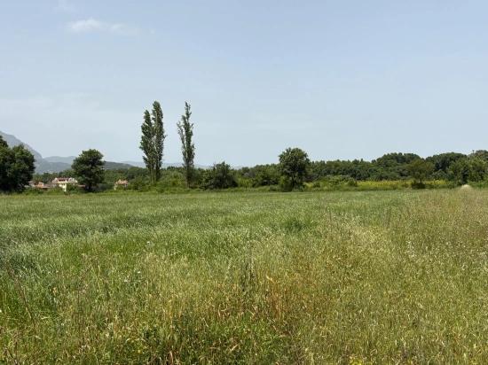 2100 M2 Großes Grundstück Zum Verkauf In Okçular Marmaris.