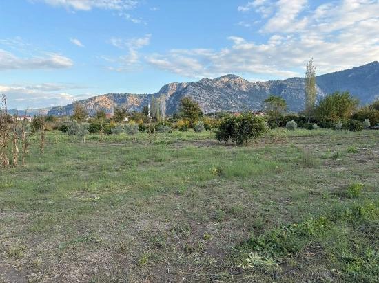7.450 M² Großes Grundstück In Dalyan Mit 5%iger Zonierung Zu Verkaufen.