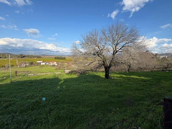 11.230 M² Großes Grundstück Mit Seeblick In Dalyan Zu Verkaufen.