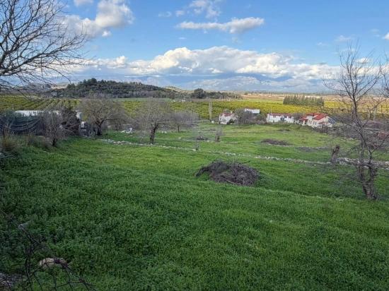 11.230 M² Großes Grundstück Mit Seeblick In Dalyan Zu Verkaufen.