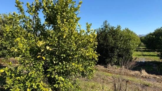 2.218m2 Grundstück Zum Verkauf In Okçular Marmarlı