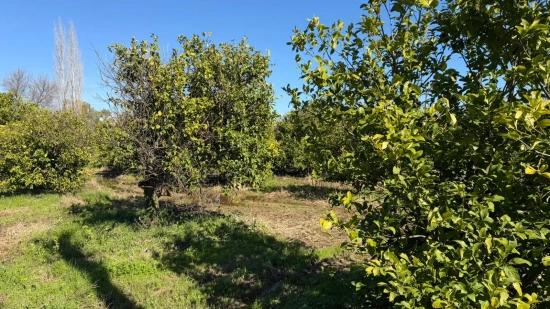2.218m2 Grundstück Zum Verkauf In Okçular Marmarlı