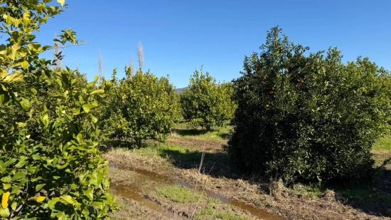 2.218m2 Grundstück Zum Verkauf In Okçular Marmarlı
