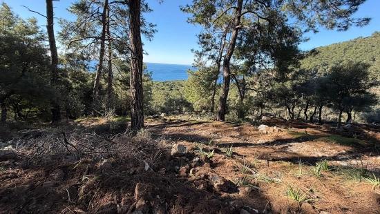 2b-feld Von 5715 M2 Zum Verkauf Mit Vollem Meerblick In Çandır