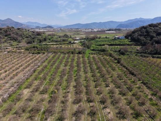 16.710 M² Granatapfelgarten Zum Verkauf Mit Seeblick In Eskiköy