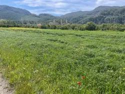 Land Zu verkaufen in Okçular Bz. Ortaca - Gehäuse-Zonierung - 736 m²
