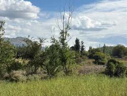 Feld Zu verkaufen in Zeytinalanı Bz. Köyceğiz - Feld-Zonierung - 10.500 m²