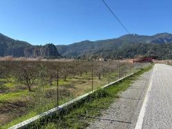 Land Zu verkaufen in Dalyan Bz. Ortaca - Gehäuse-Zonierung - 5.985 m²
