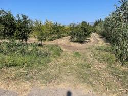 Feld Zu verkaufen in Dalyan Bz. Ortaca - Gehäuse-Zonierung - 10.000 m²