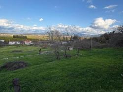 Feld Zu verkaufen in Dalyan Bz. Ortaca - Feld-Zonierung - 11.230 m²