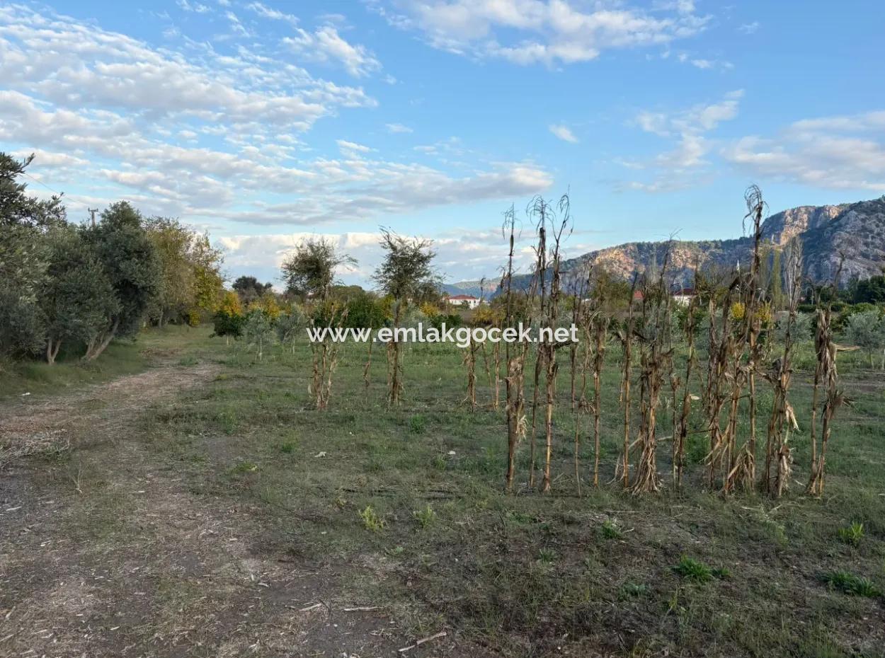 7.450M2 Land Zum Verkauf In Der Nähe Des Zentrums Von Dalyan