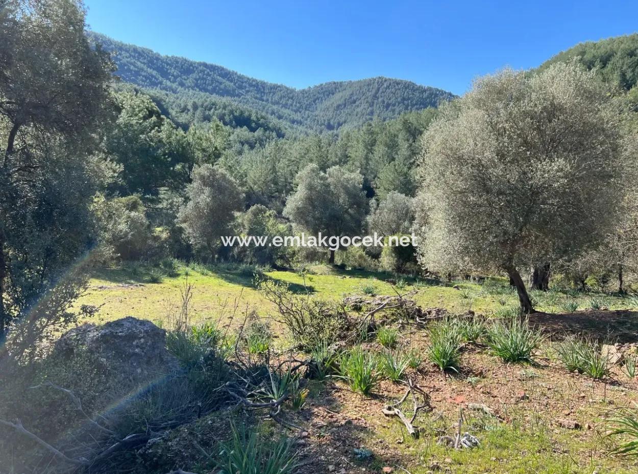 Grundstück Zum Verkauf In Natur Und Wald In Gökbel