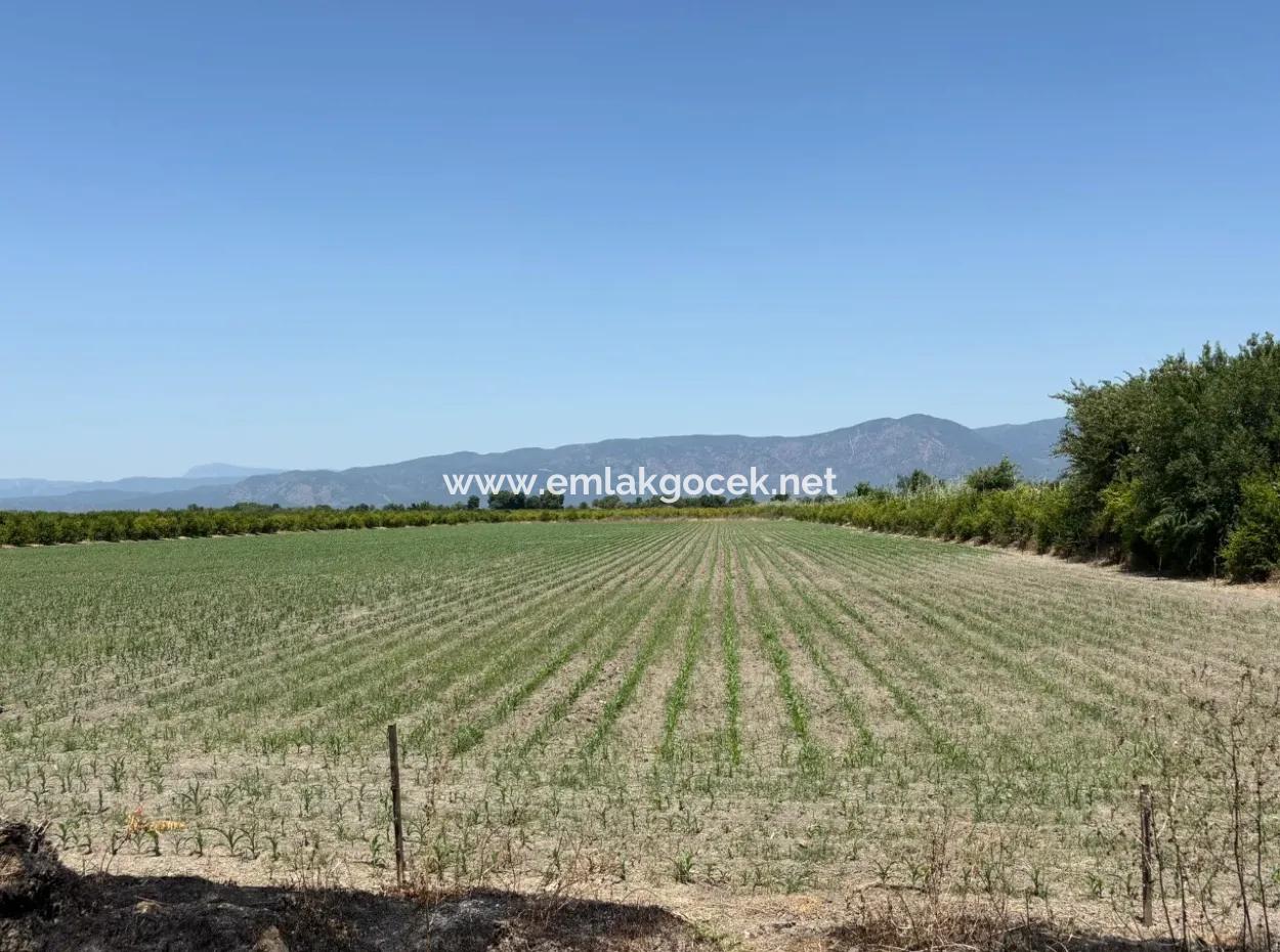 46.550M2 Grundstück Zum Verkauf In Tepearası