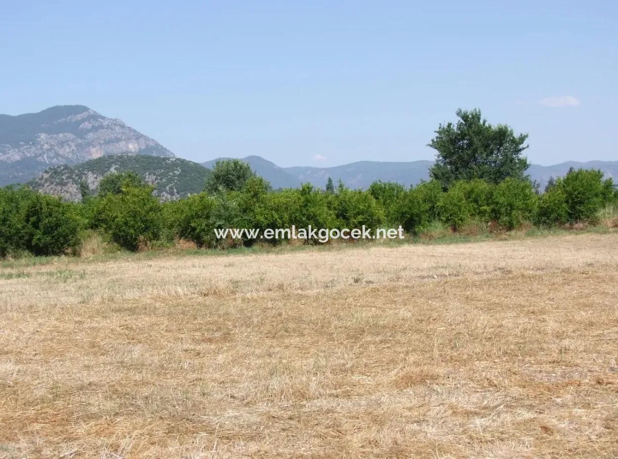 Grundstück Zum Verkauf An Der Ecke Von 540M2 In Okcular