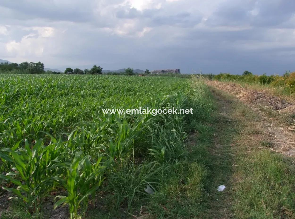 Bauernhof Zum Verkauf In Der Nähe Des Zentrums Von Dalyan,14, 612M2 Bauernhof Zum Verkauf