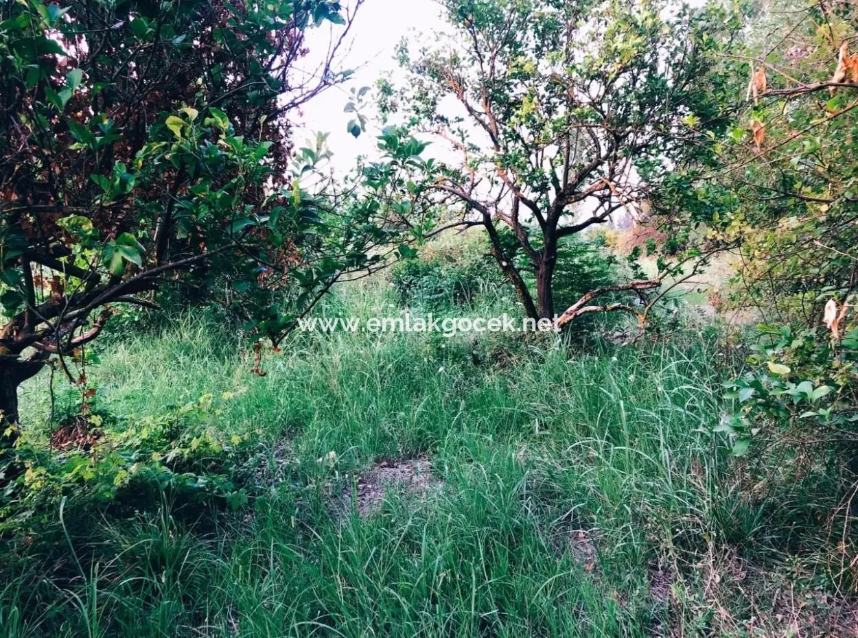 Archer In Die Bogenschützen Grundstück Zum Verkauf Zum Verkauf In Marmarli 1,500M2 Grundstück Zum Verkauf