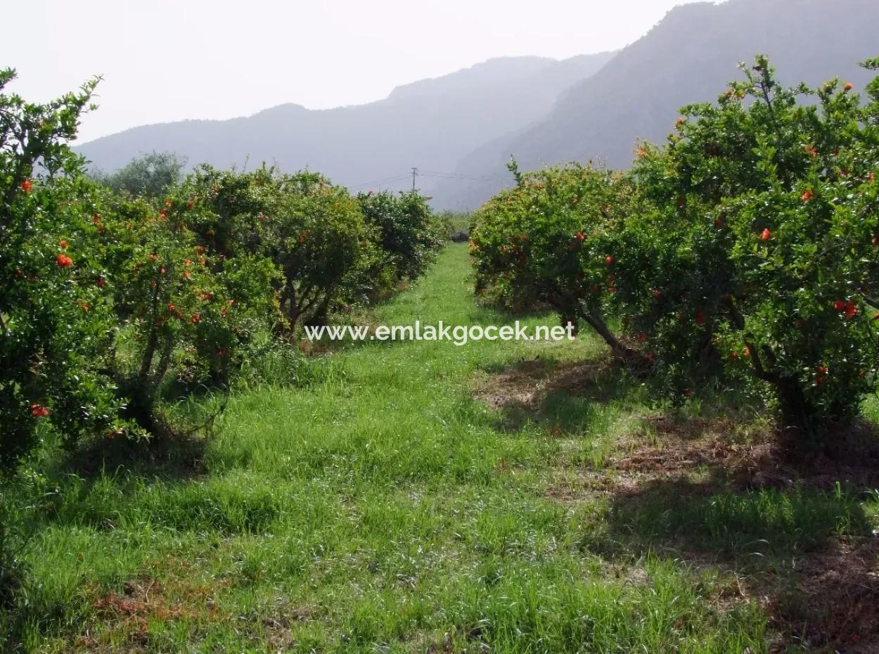 Merkez Dalyan Iztuzu See-Garten-Villa Zum Verkauf