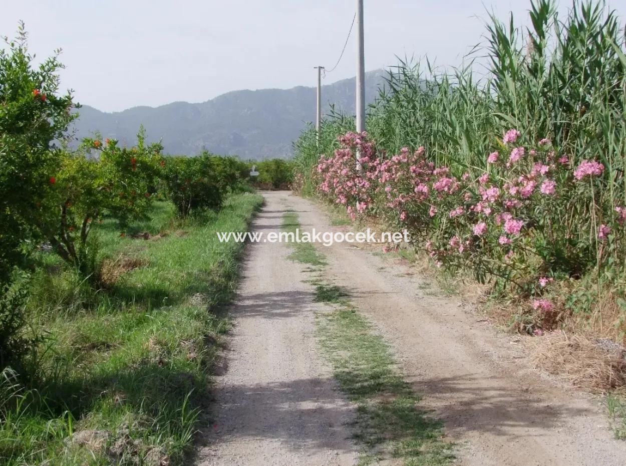Merkez Dalyan Iztuzu See-Garten-Villa Zum Verkauf
