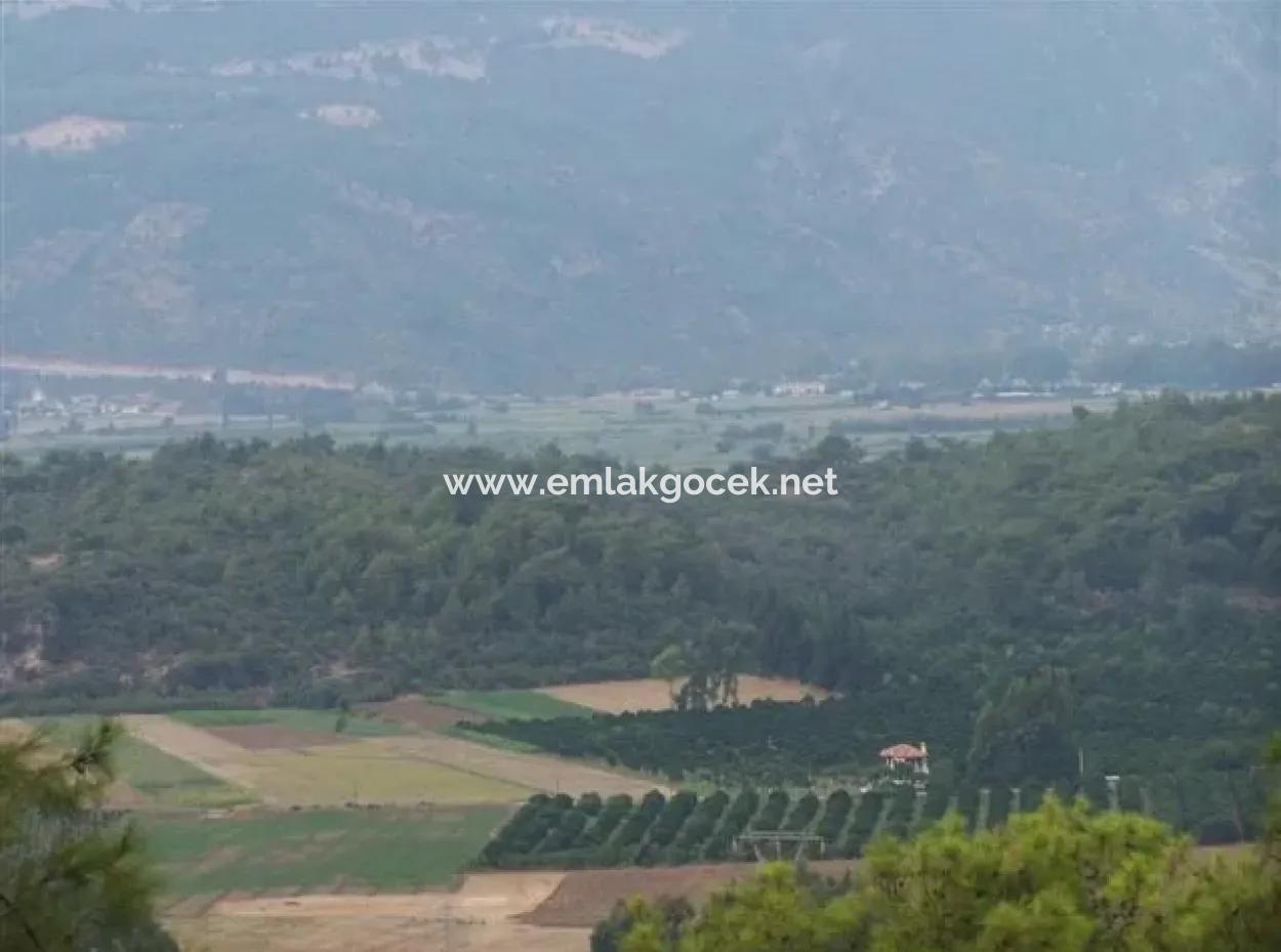 Gökçe Gökçe 21671M2 Bauernhof Zum Verkauf Zum Verkauf