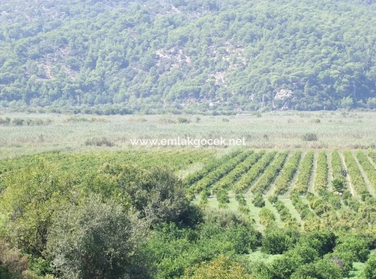 Bauernhof Zum Verkauf Bauernhof Zum Verkauf In Dalyan 73410M2