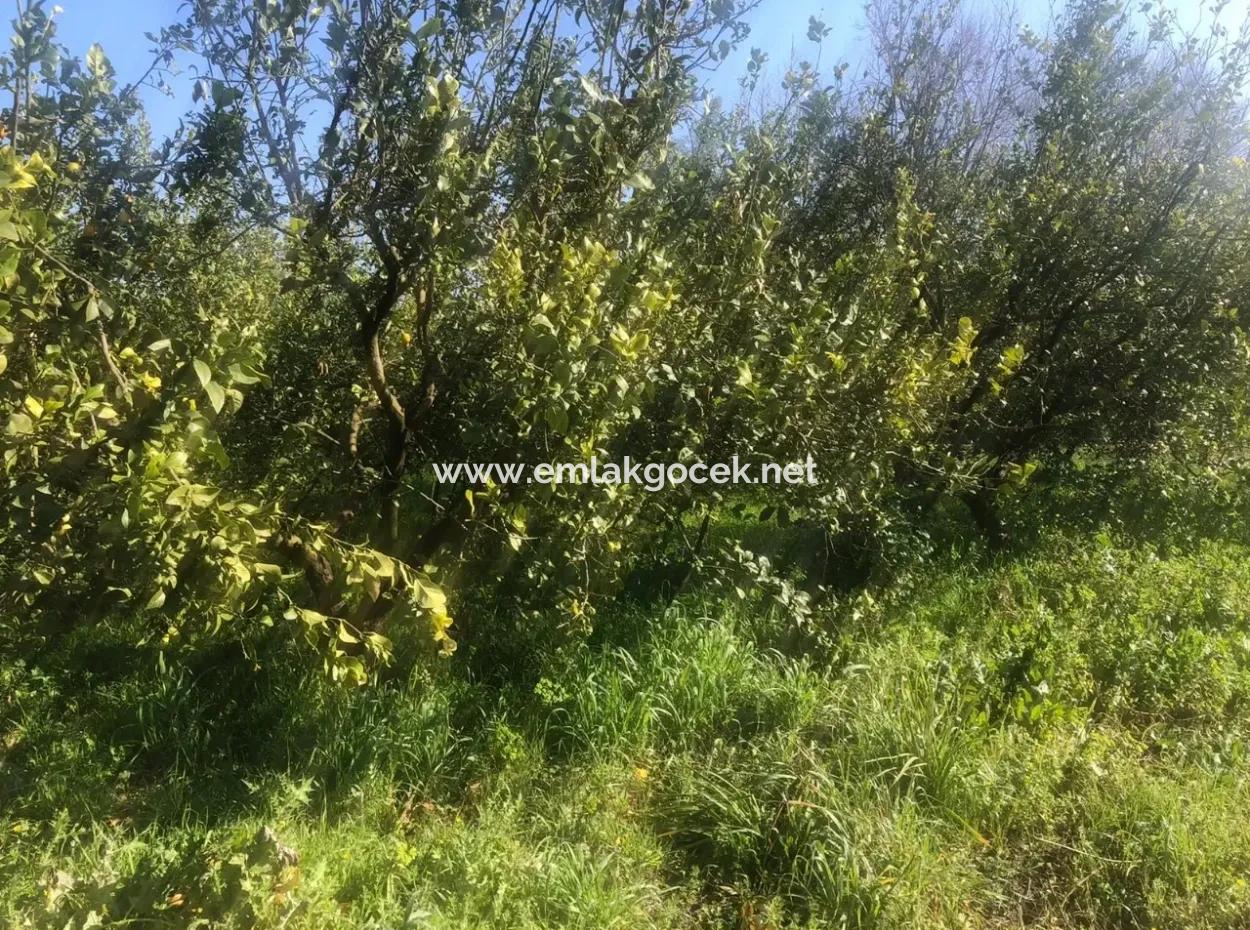 Raiders 803M2 Land Zum Verkauf In Plot Zum Verkauf