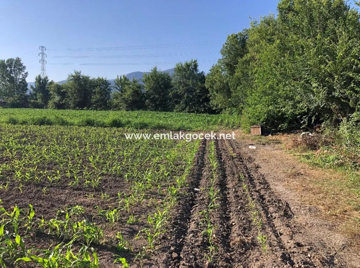 2200M2 Grundstück Zum Verkauf In Dalyan Zum Verkauf In Dalyan