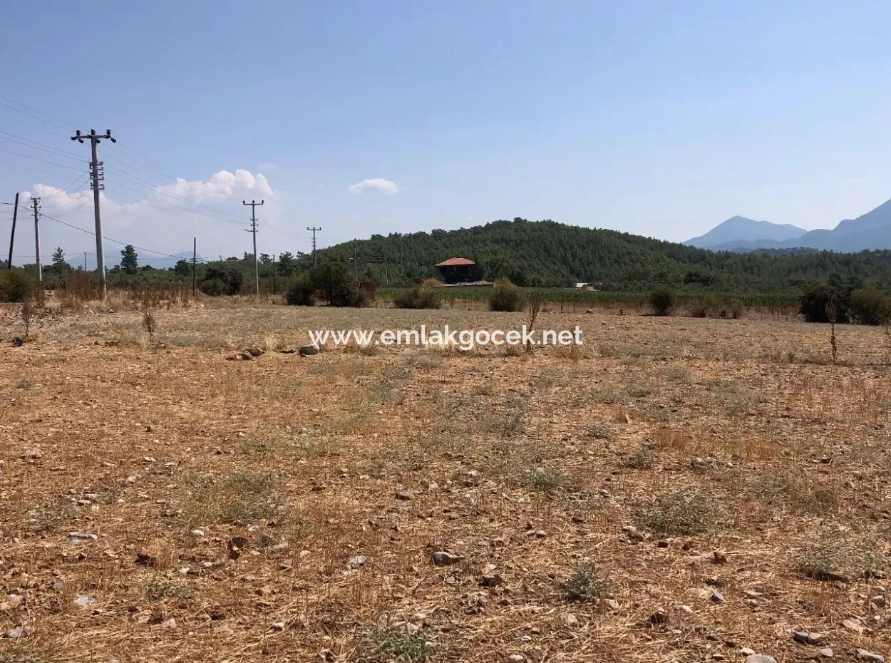 11.227M2 Grundstück Zum Verkauf Mit Seeblick In Köyceğiz Zeytinalan