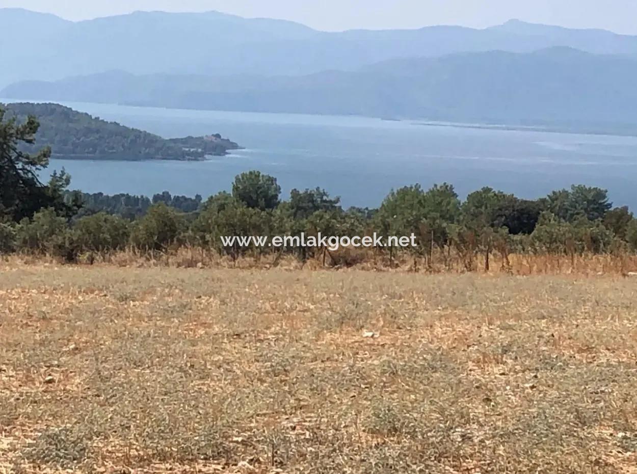11.227M2 Grundstück Zum Verkauf Mit Seeblick In Köyceğiz Zeytinalan