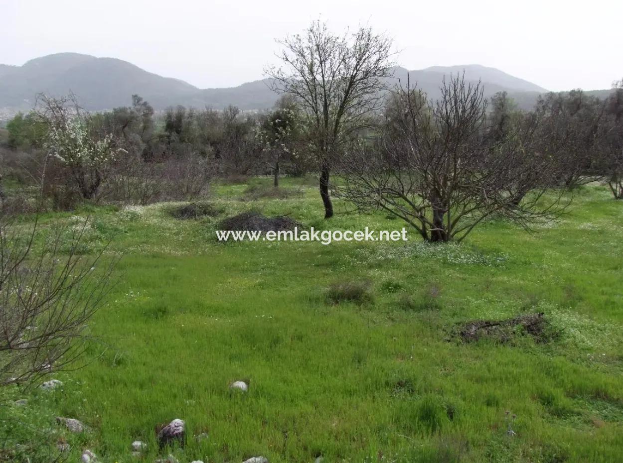 In Incirkoy Uzumlu Fethiye Grundstück Für Verkauf Bauernhof Zum Verkauf In Incirkoy