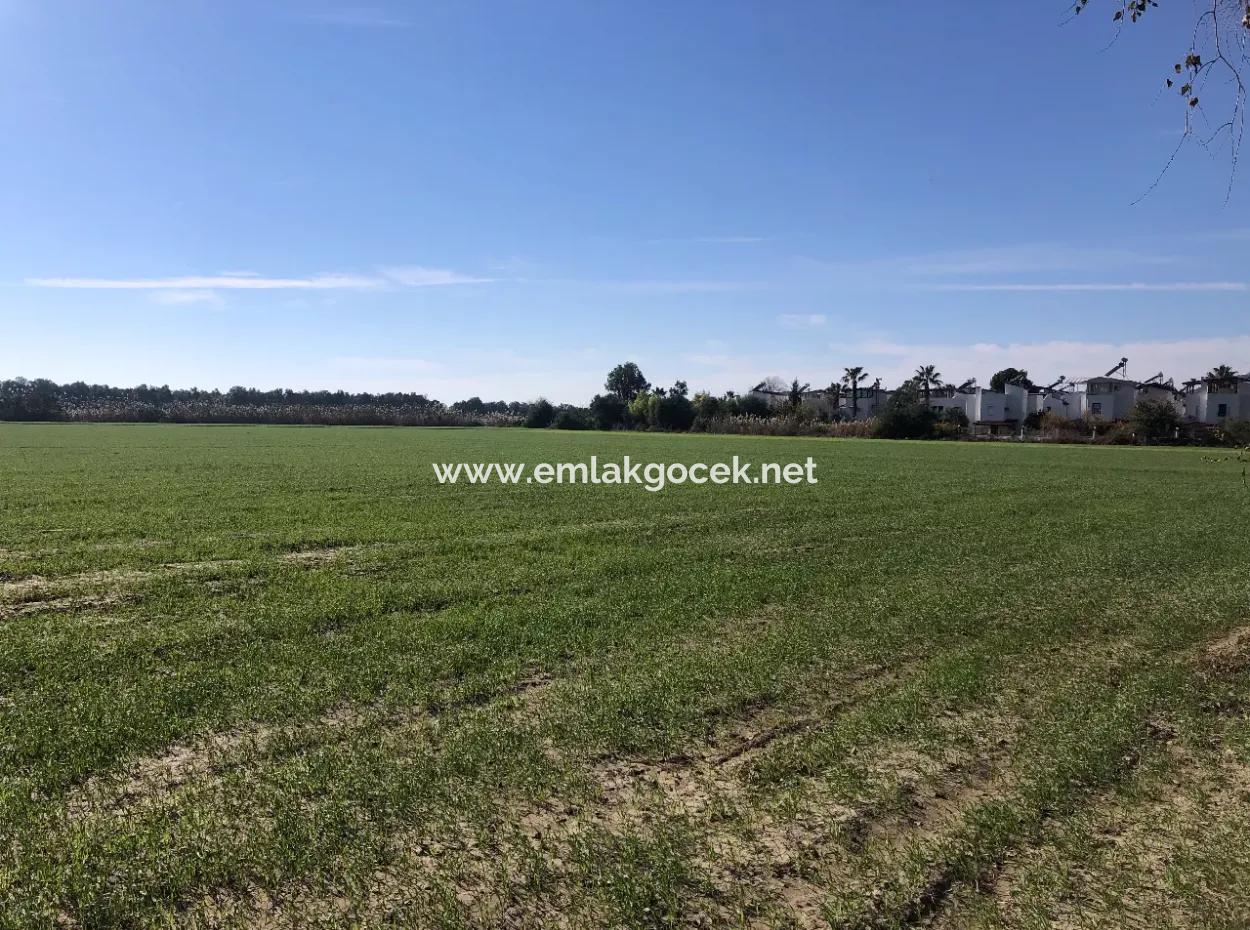 Land Zu Verkaufen In Sar'germede 30.000M2 Land Zum Verkauf Mit Meerblick