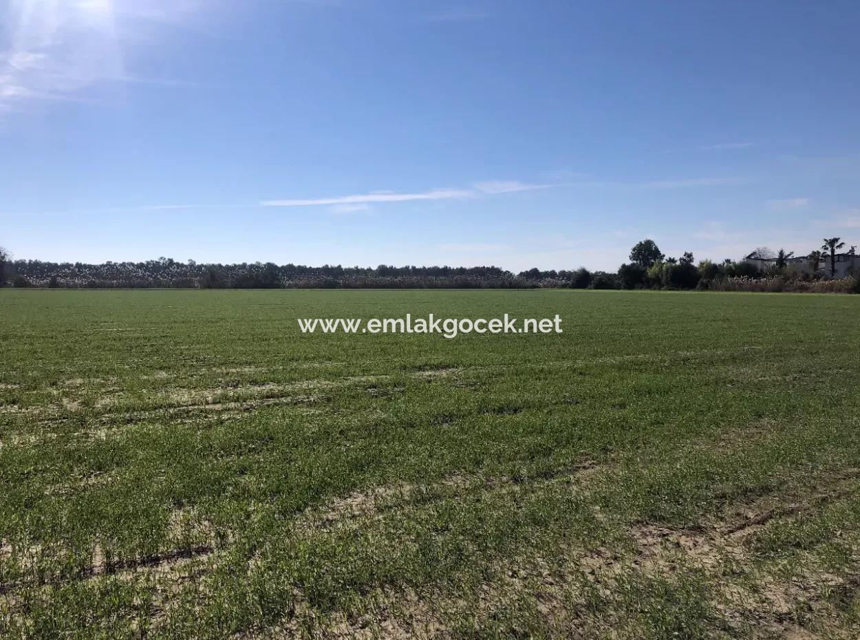 Land Zu Verkaufen In Sar'germede 30.000M2 Land Zum Verkauf Mit Meerblick