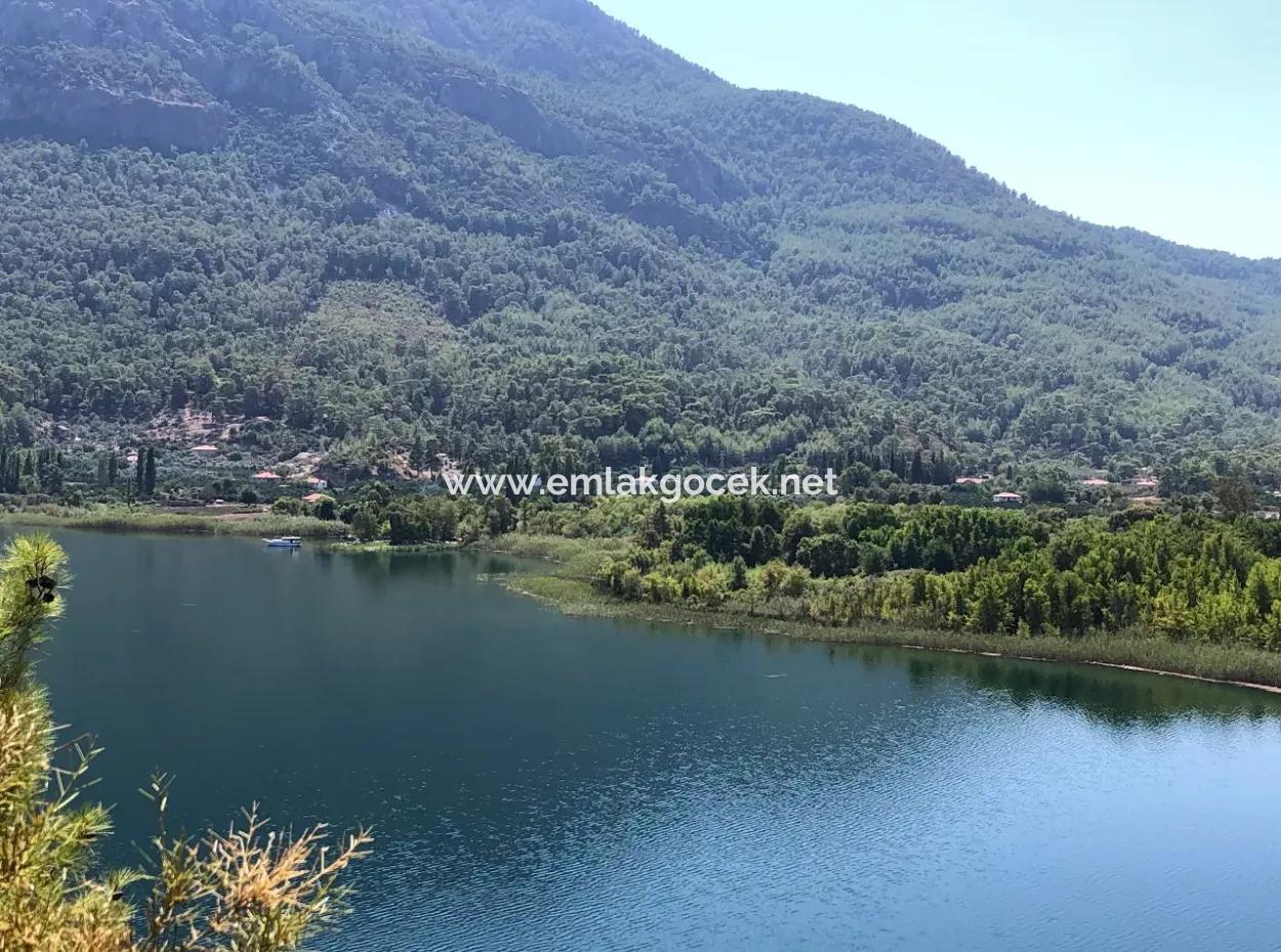 Sultaniye Land For Sale Near 10577M2 Lake Land For Sale