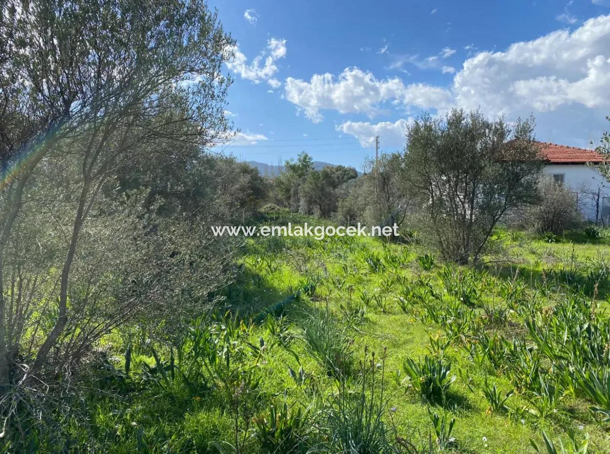 401M2 Grundstück Zum Verkauf In Ortaca Cumhuriyet Nachbarschaft