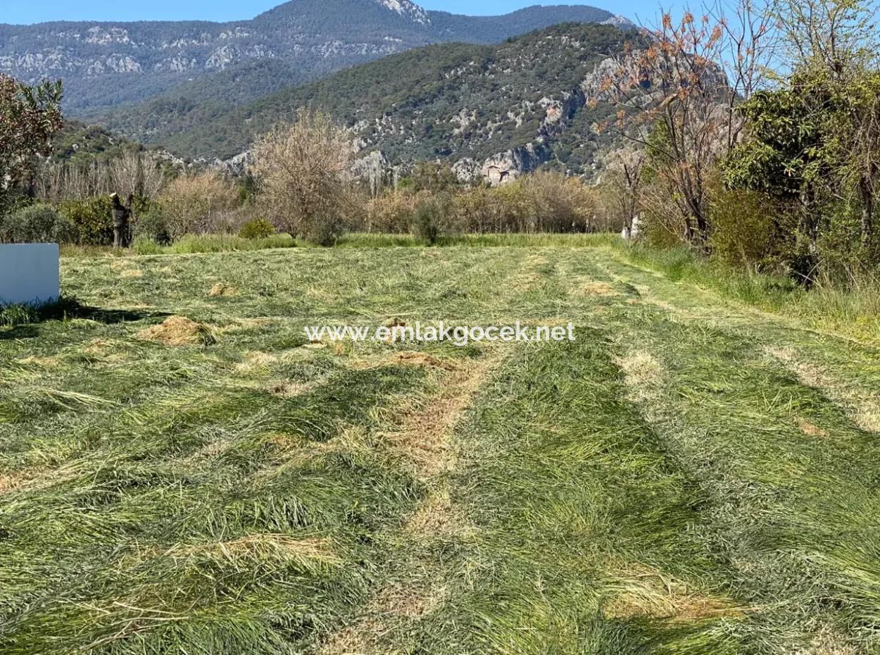 3700M2 Grundstück Zu Verkaufen In Dalyan