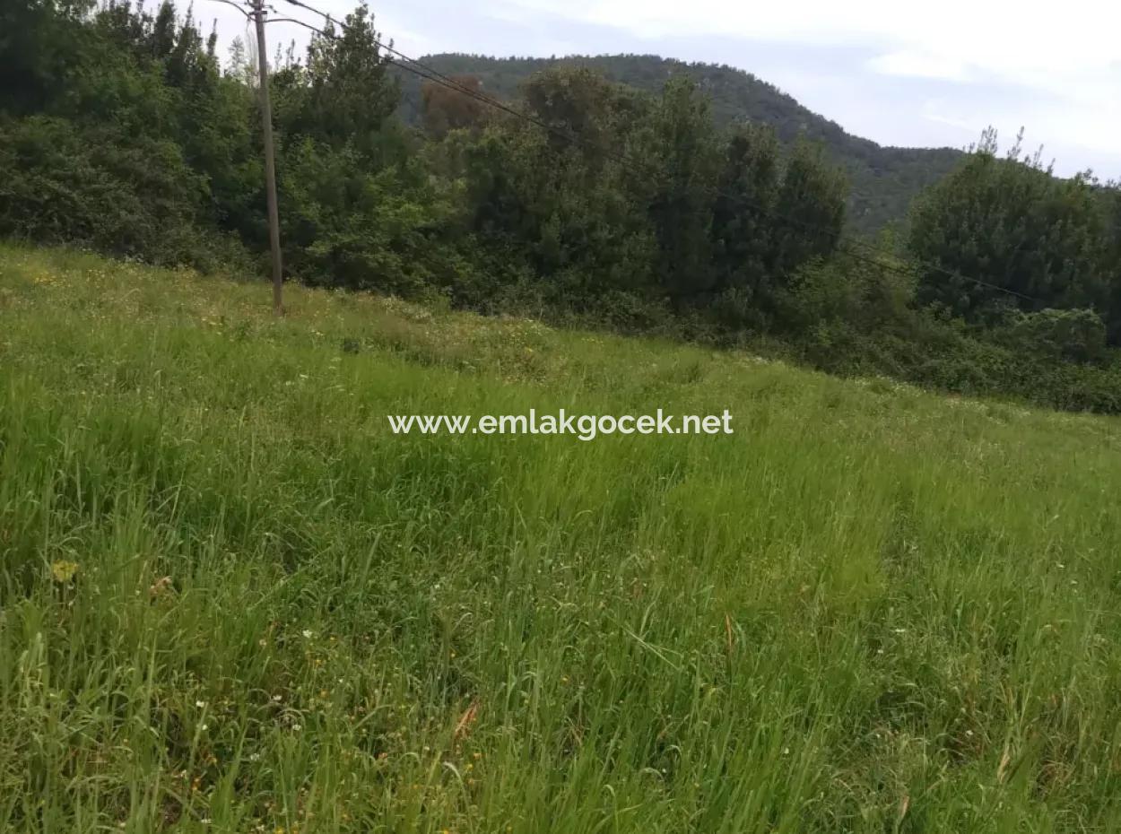 Grundstücke Zu Verkaufen In Amlida