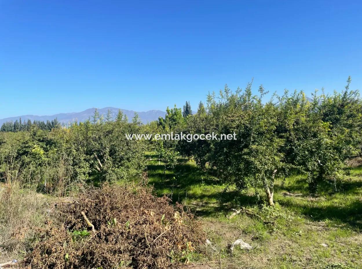 2223M2 Felder Zum Verkauf In Dalyan