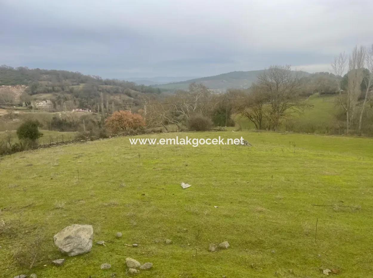Balikesir Bale Kayaköy Land Zum Verkauf