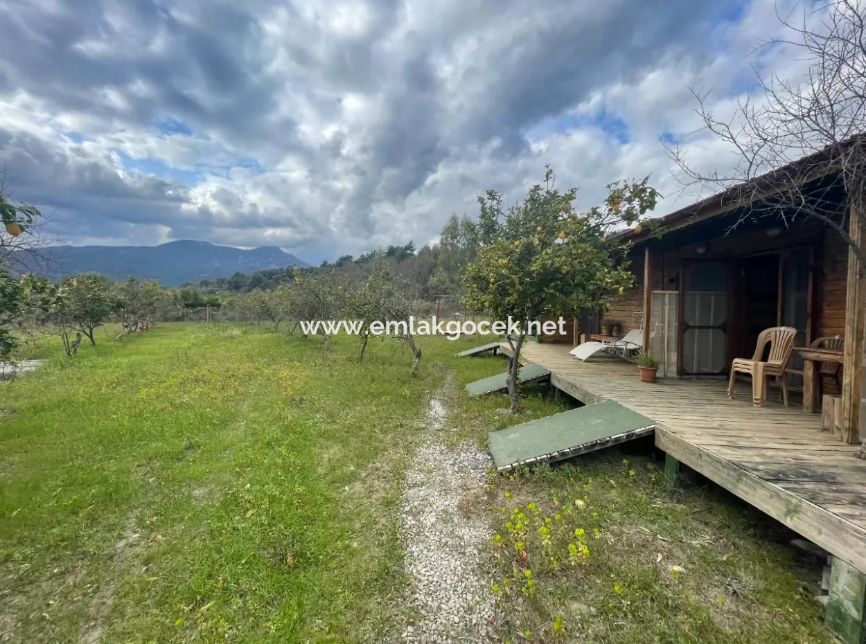 Dalyan Boutique Hotel Zum Verkauf Bungolevler Zum Verkauf In 11.000M2 Grundstück