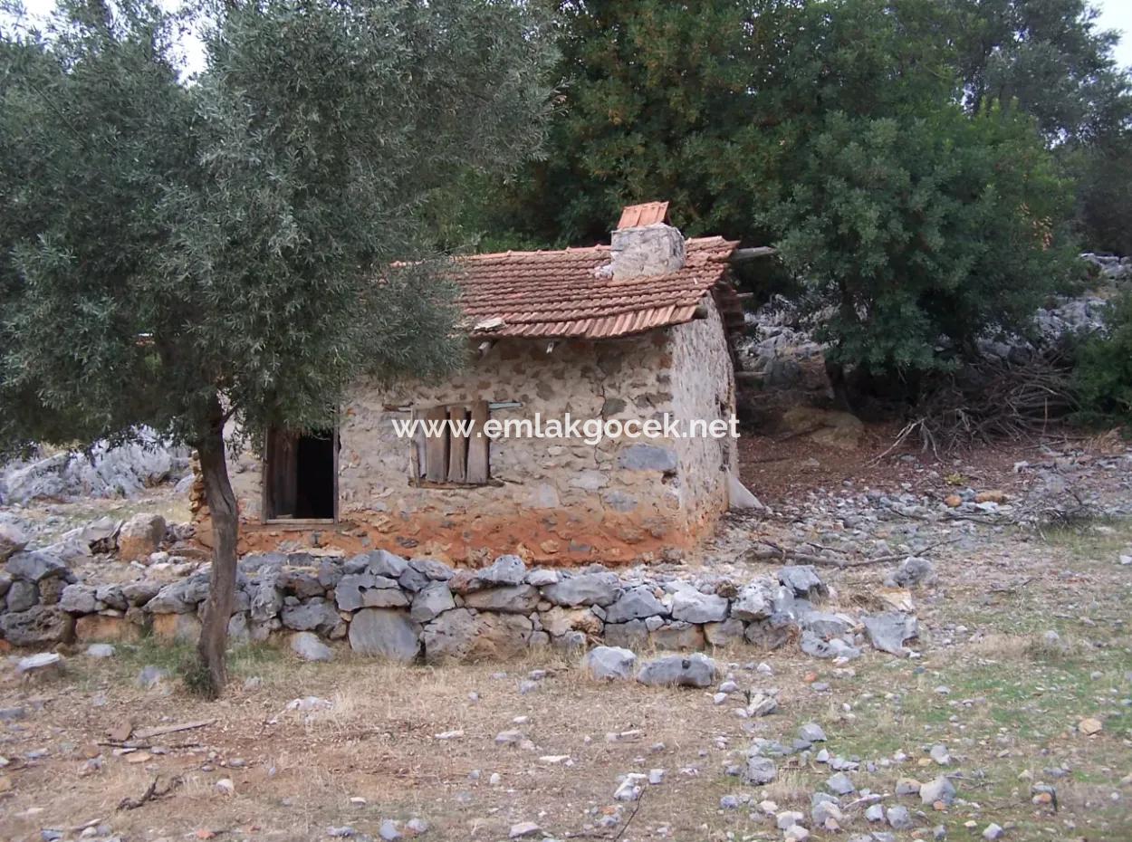 Steinhaus Zum Verkauf In Sarsalada Meerblick 4274M2 Grundstück