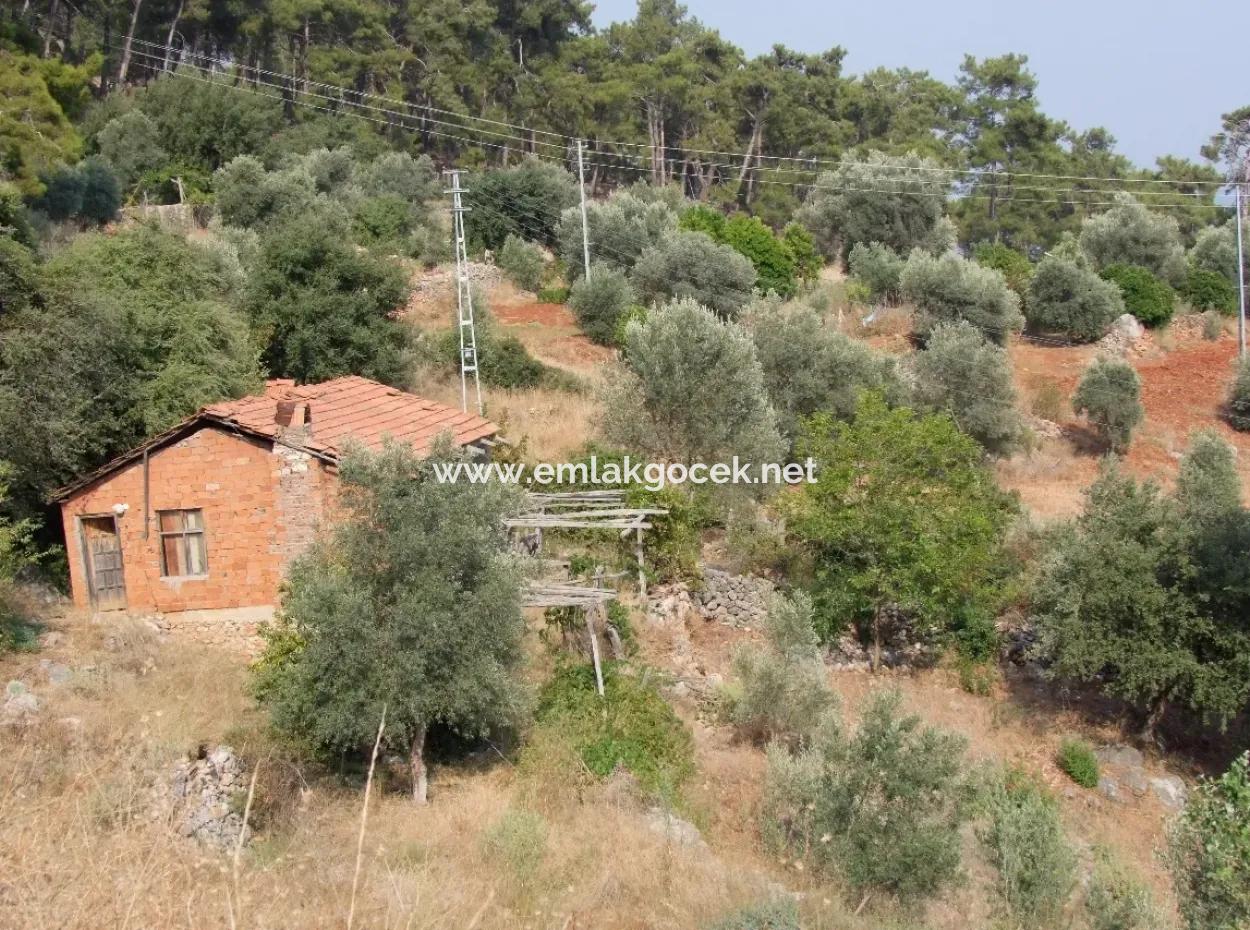 5000M2 Grundstück Zum Verkauf In Akyaka Mit Vollem Meerblick Haus Zum Verkauf Kentucky