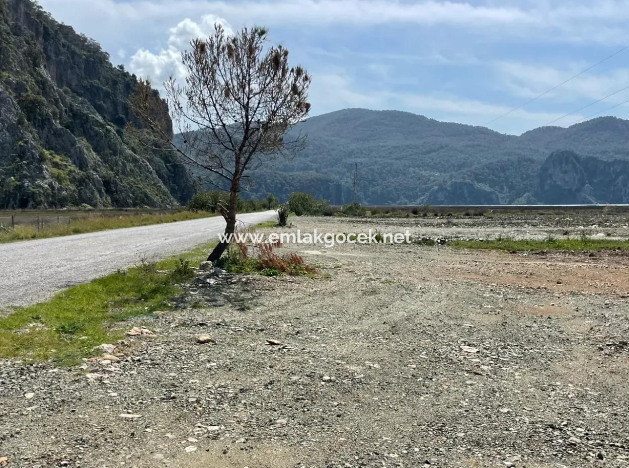 Dalyan Iztuzu Strand Straße Null 19.600M2 Feld Land Zum Verkauf