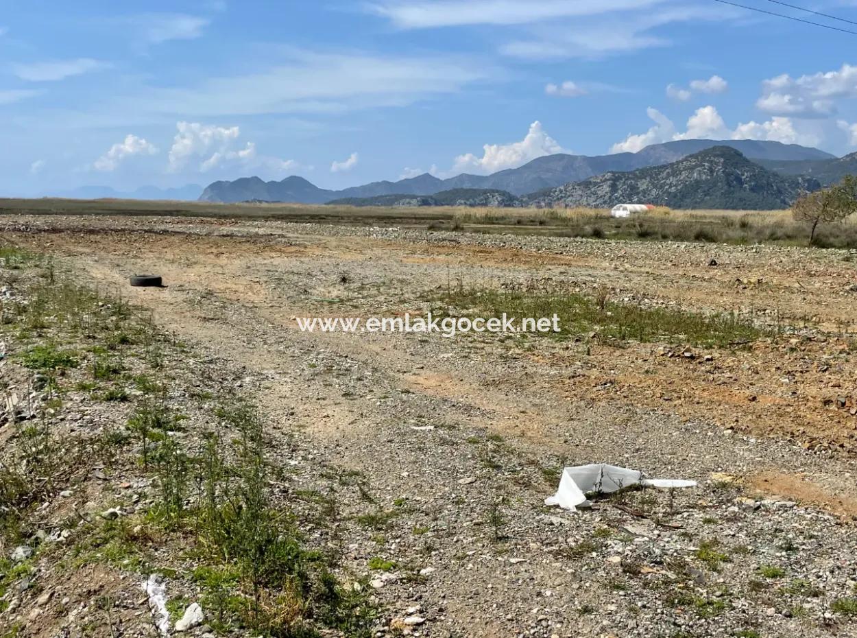 Dalyan Iztuzu Strand Straße Null 19.600M2 Feld Land Zum Verkauf