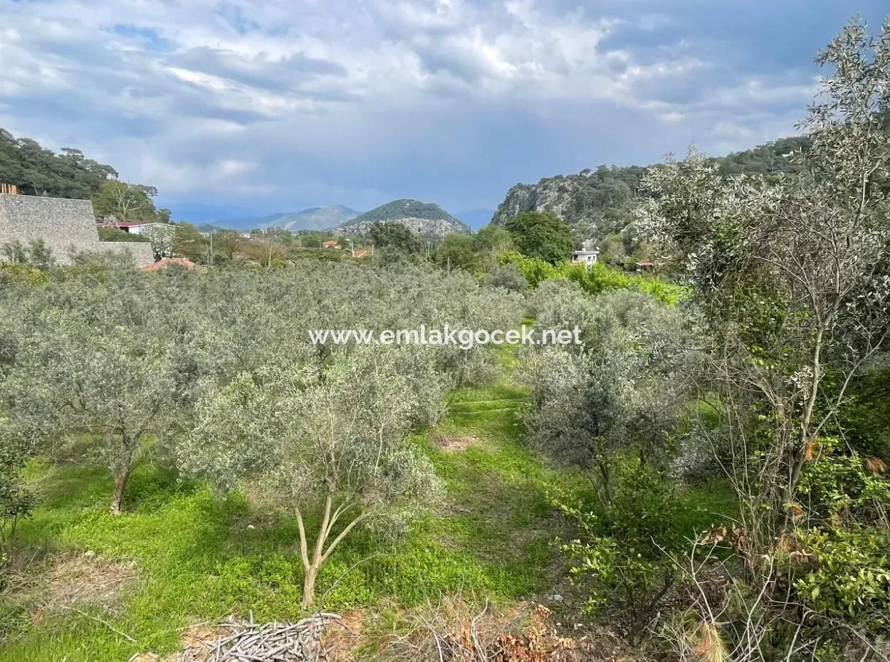 5000M2 Feld Zum Verkauf Am Anfang Der Straße In Çandır