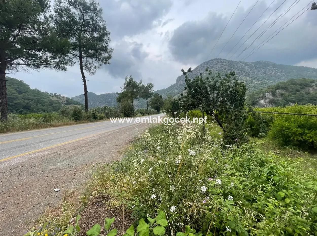 Gökbelde 14.000M2 Feld Zu Verkaufen