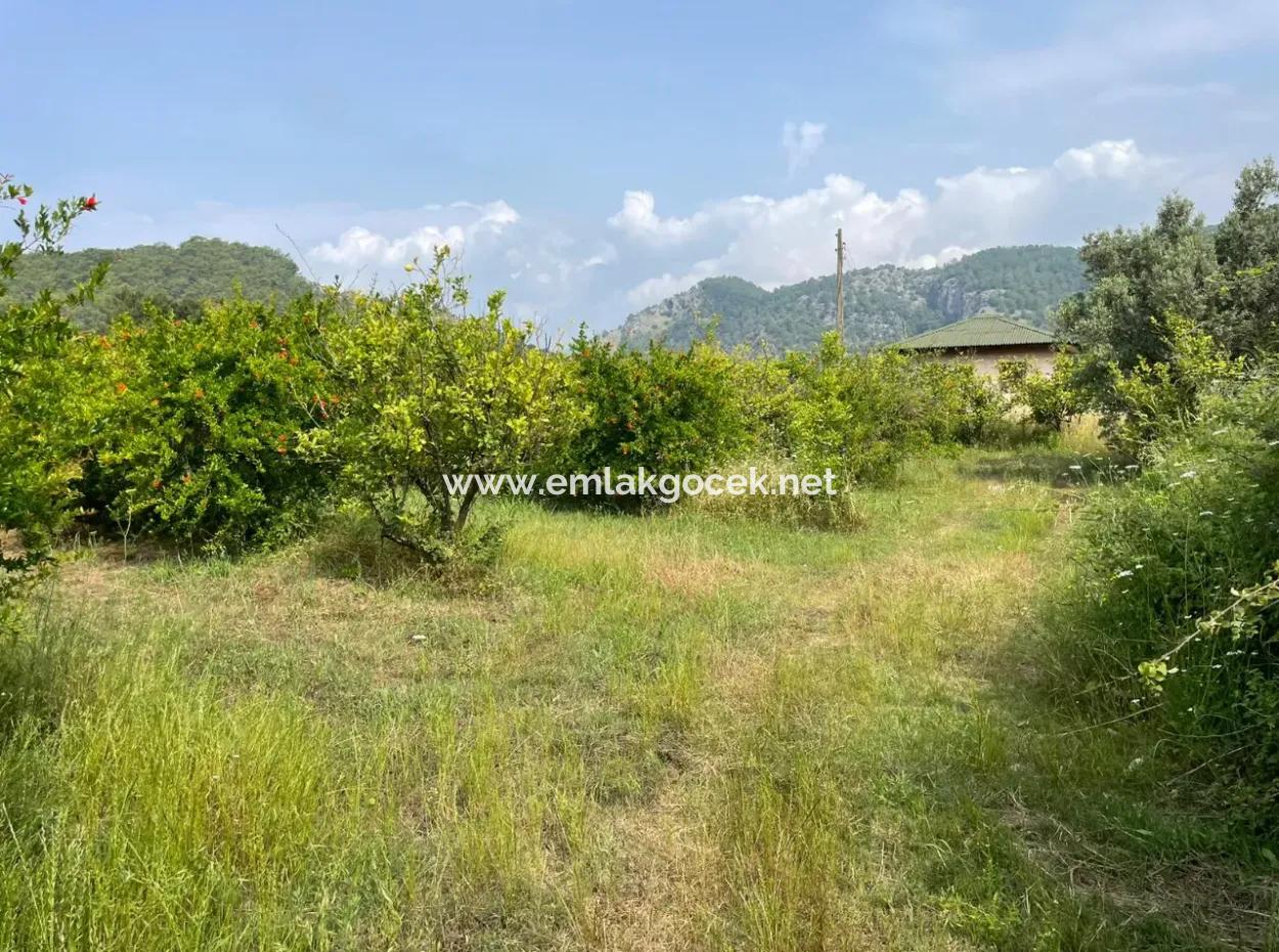 7800M2 Grundstück Zum Verkauf Am Anfang Der Strandstraße Iztuzu In Gökbel
