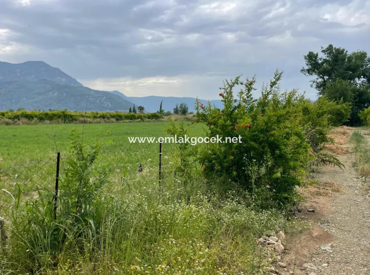 2.528M2 Feld Zum Verkauf In Der Nähe Des Zentrums Von Dalyan