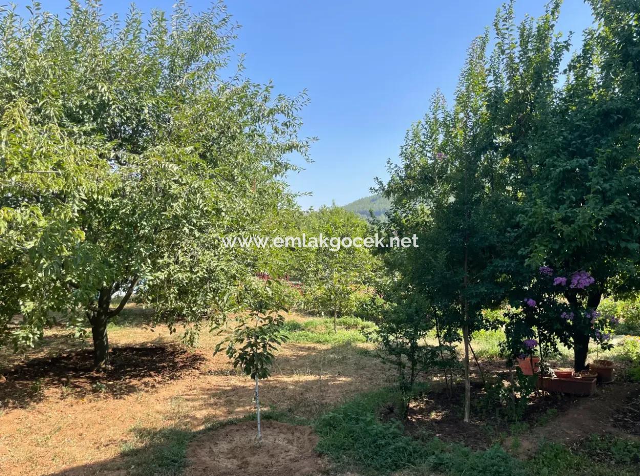 Muğla Ula Köprübaşı Mahallesin In 2378M2 Grundstück In 3 1 Vlla Zu Verkaufen