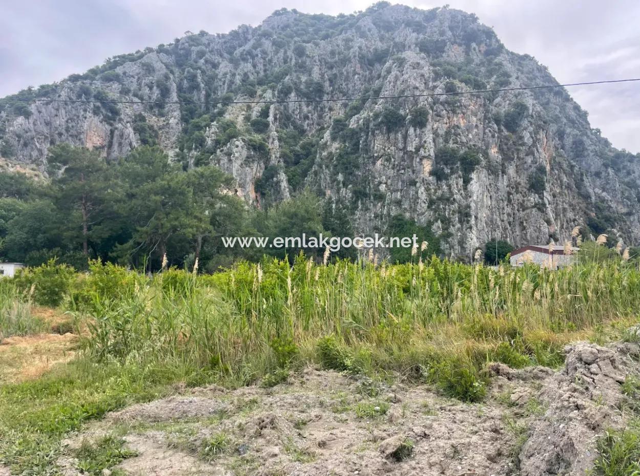 Feld Zu Verkaufen 6500M2 In Dalyan